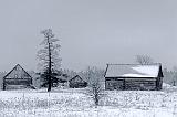 Three Log Barns_12490